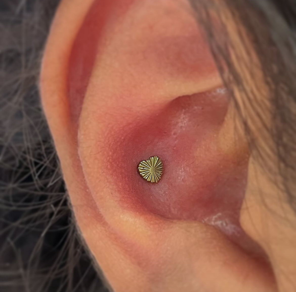 Labret Figura Acanalada