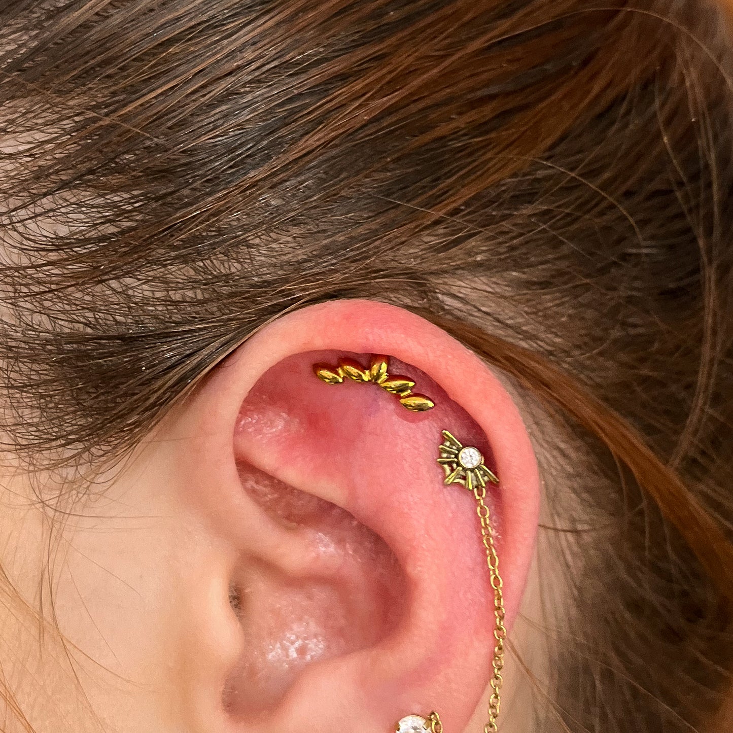 Labret Cluster Hojas