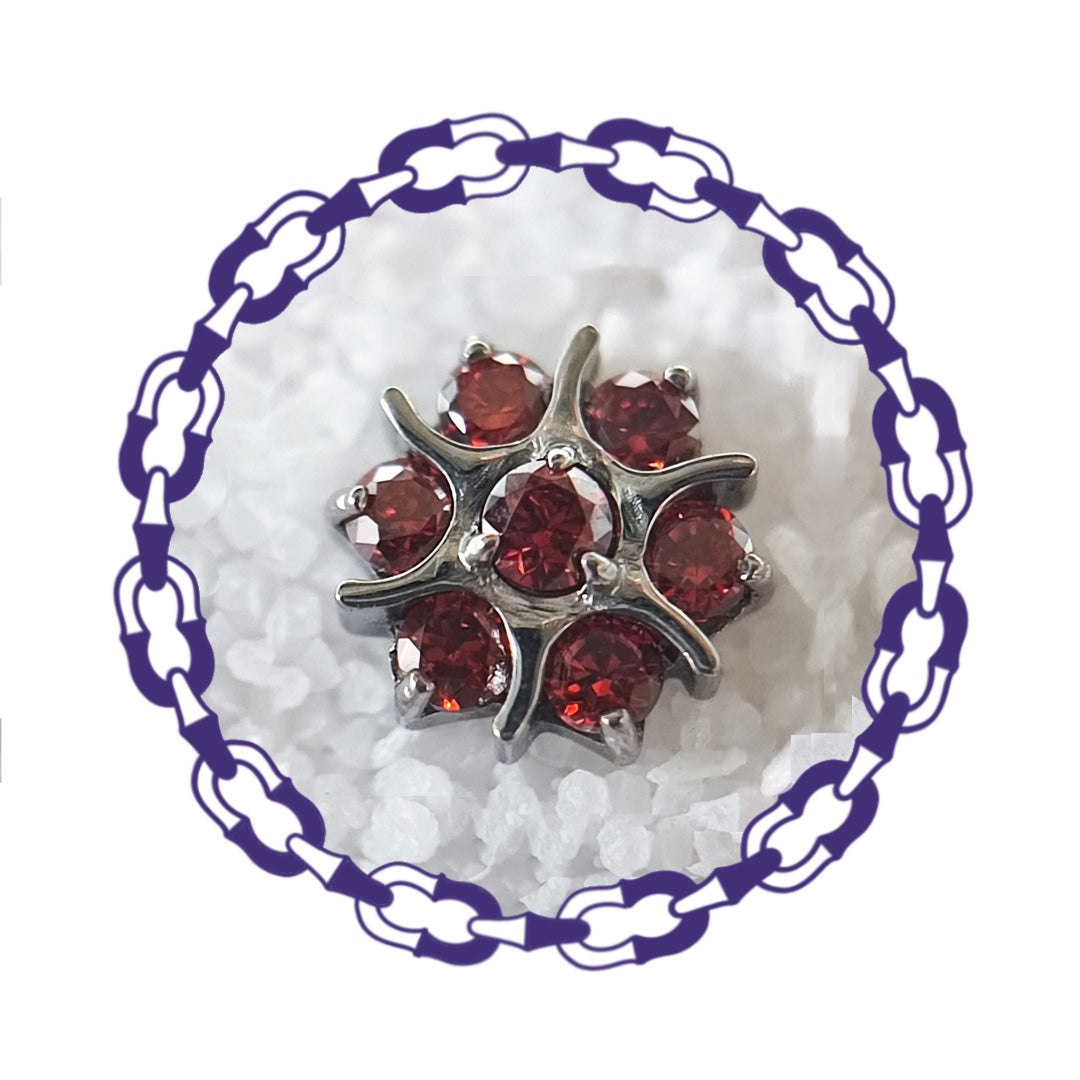 Labret Violeta Cristales Rojos