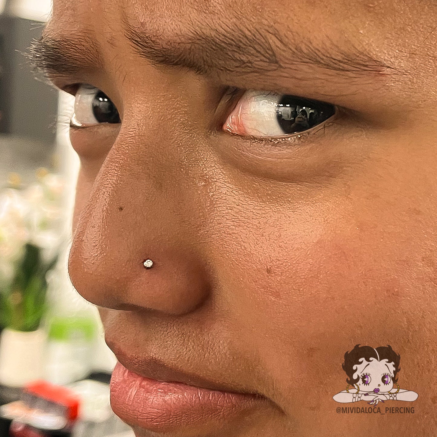 Nostril Cristal 18g